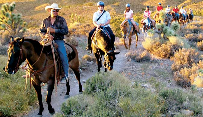 Horseback Riding Adventure with Bronco Rental from Las Vegas
